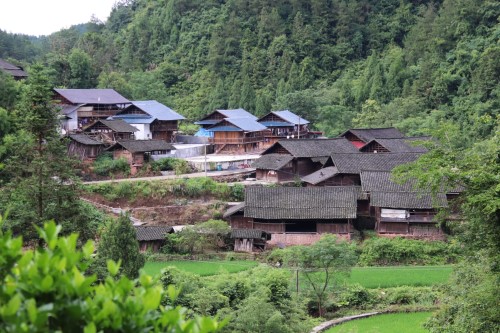 图一张家坪村.jpg